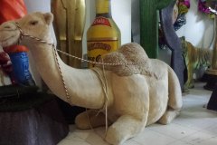Camello-Arabe-Pesebre