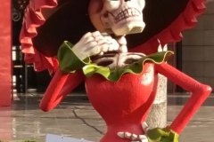 Mexico-Fiesta-3
