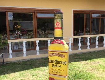 Jose-Cuervo