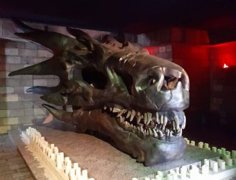 House-Of-Dragon-1