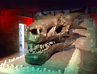 House-Of-Dragon