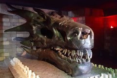 House-Of-Dragon-1