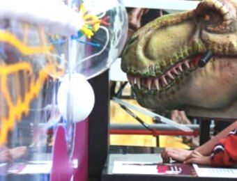 T-rex-Maloka