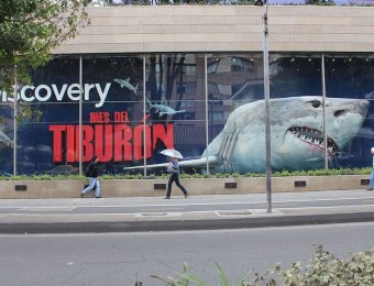 Tiburon-Discovery-1