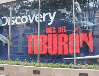 Tiburon-Discovery-2