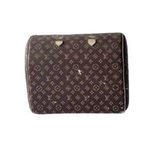 Dummy de Bolso Louis Vuitton Café