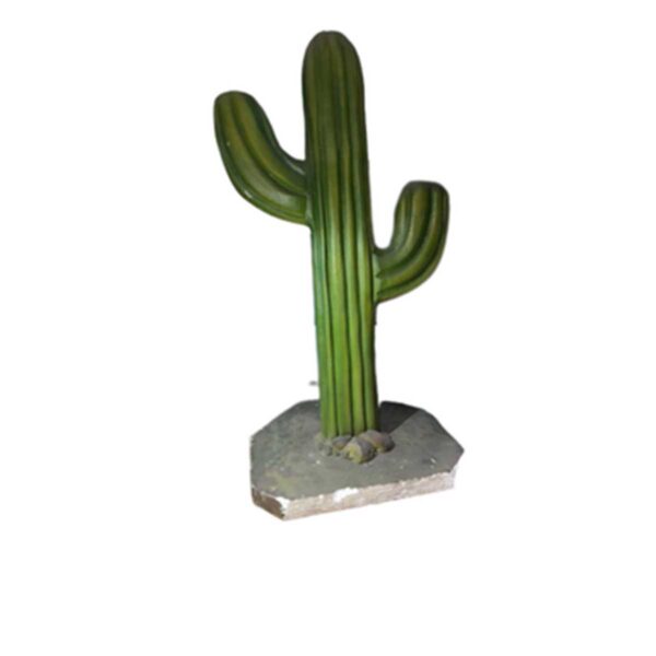 Cactus decorativo